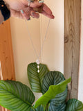 Fresh Water Pearl Lariat